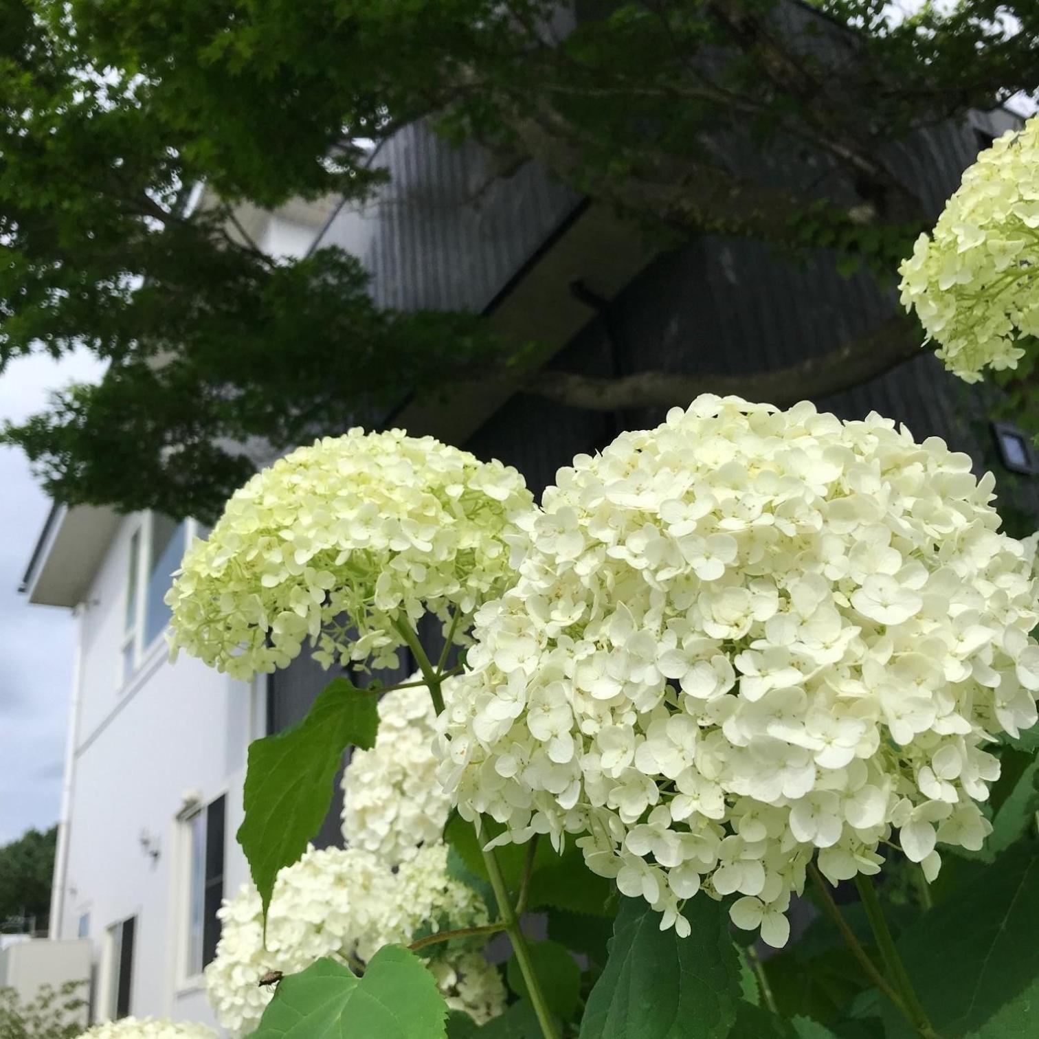 SWEET VILLA TAKASAMA - Vacation STAY 11775 Fujiyoshida Extérieur photo