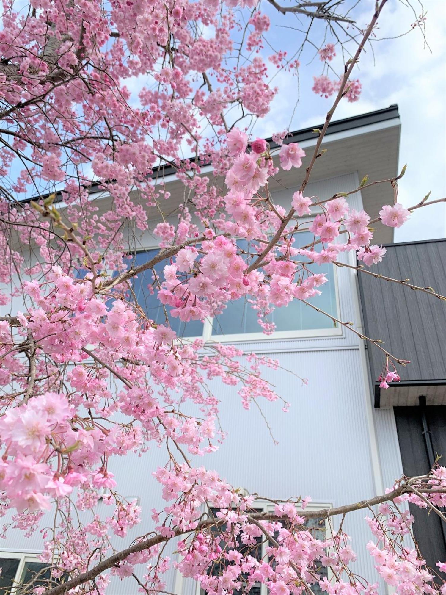 SWEET VILLA TAKASAMA - Vacation STAY 11775 Fujiyoshida Extérieur photo